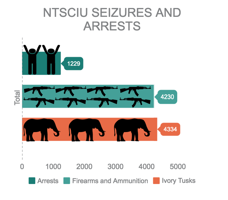 Since 2012, the NTSCIU has arrested hundreds of traffickers, poachers and their associates. While taking down poaching networks, the taskforce has also seized hundreds of firearms, ammunition and vehicles used for poaching and taken millions of dollars worth of ivory away from traffickers. Data provided by NTSCIU.